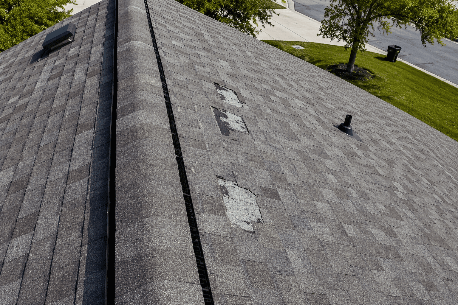 Damaged and curling roof shingles